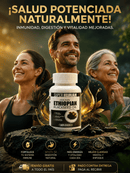Purely Ethipian™ Aceite de Semilla Negra | Refuerza tus Defensas Naturales y Promueve el Bienestar Integral | 60 Capsulas