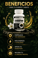 Purely Ethipian™ Aceite de Semilla Negra | Refuerza tus Defensas Naturales y Promueve el Bienestar Integral | 60 Capsulas