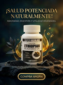 Purely Ethipian™ Aceite de Semilla Negra | Refuerza tus Defensas Naturales y Promueve el Bienestar Integral | 60 Capsulas